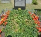 dsc00077