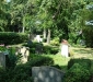 dsc00088