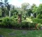 dsc00098
