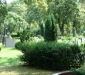 dsc00121