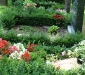 dsc00123