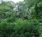dsc00136