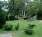 dsc00137