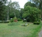 dsc00139