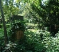 dsc00058