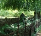 dsc00092