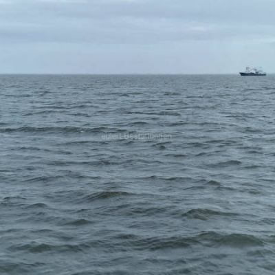 Bestattung in der Nordsee