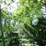 Ev. Georgen-Parochial-Friedhof III